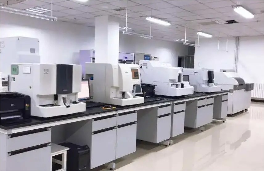 VSport - 胜利因您更精彩!